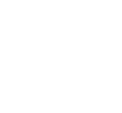 brain icon